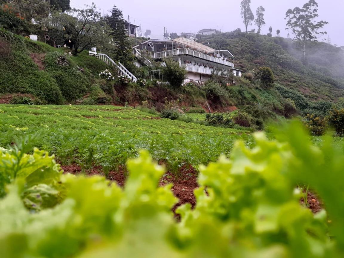 The Farm House Nuwaraeliya Nuwara Eliya Dış mekan fotoğraf